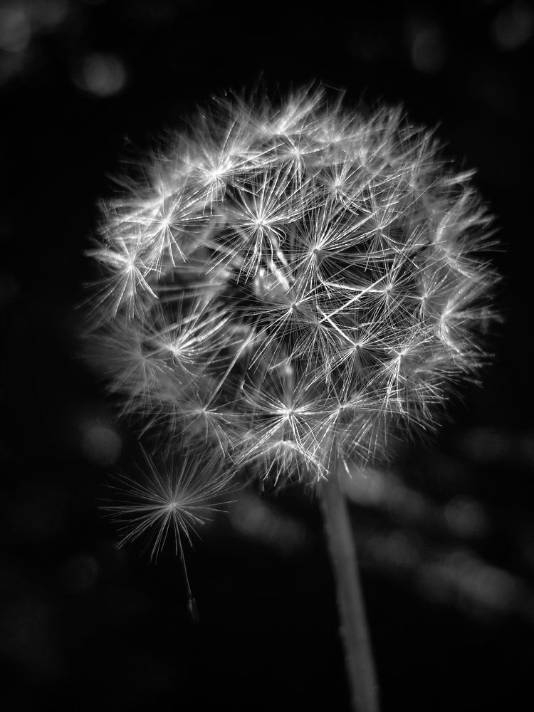 Фотография автора Alina Filimonova