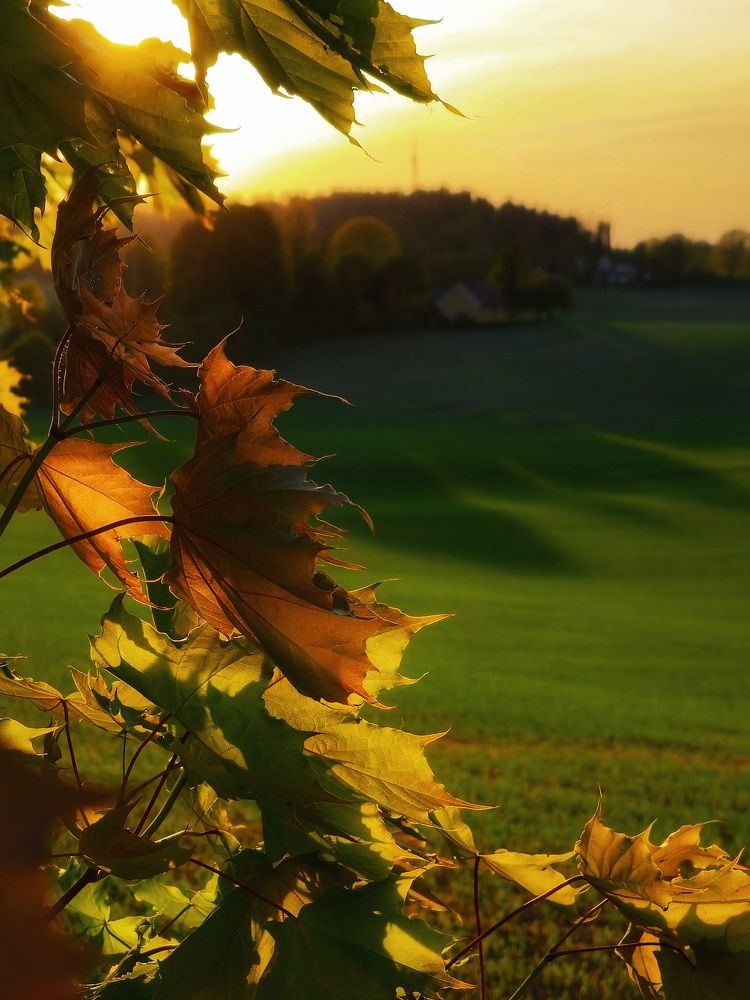 Фотография автора Alina Filimonova