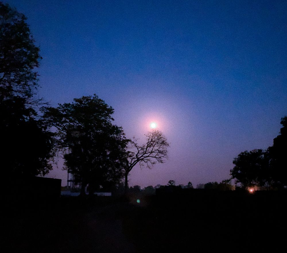 Фотография автора Anurag Banerjee