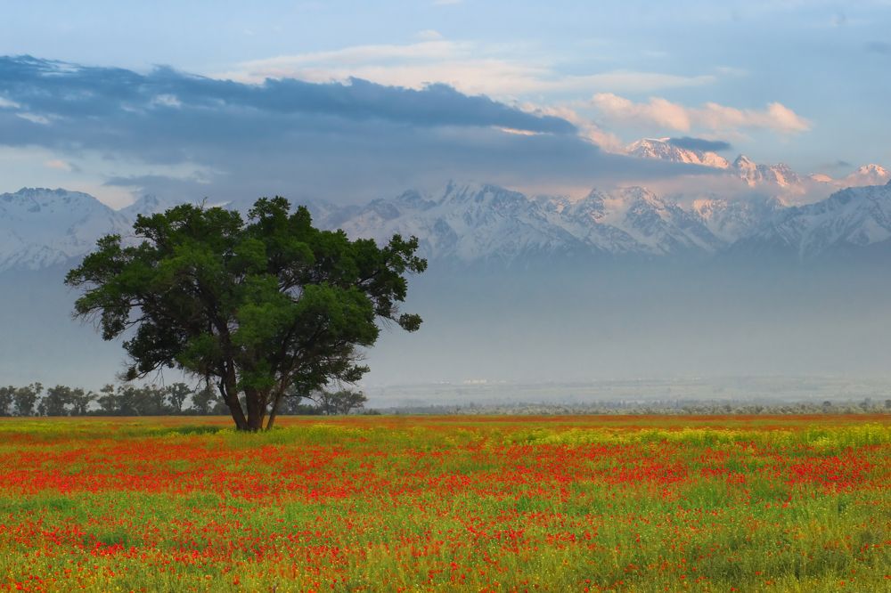 Фотография автора Василий Михайлин
