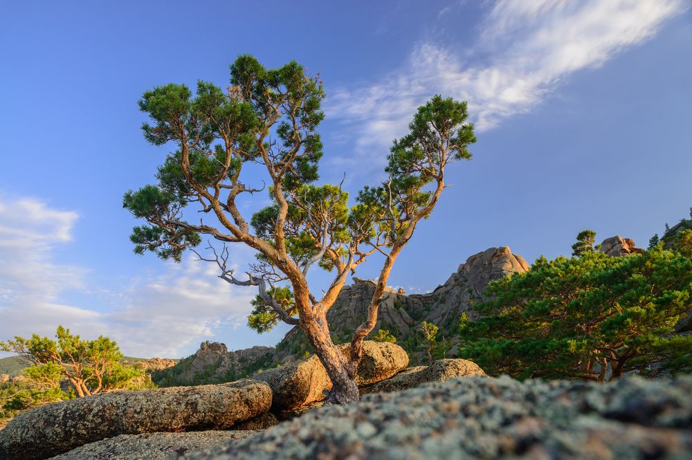 Фотография автора Василий Михайлин