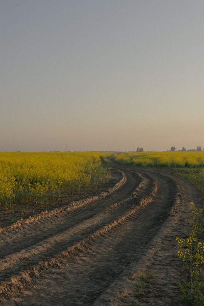 Фотография автора Николай Лазарев