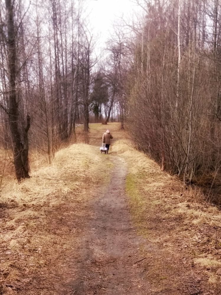 Photo #10669758
