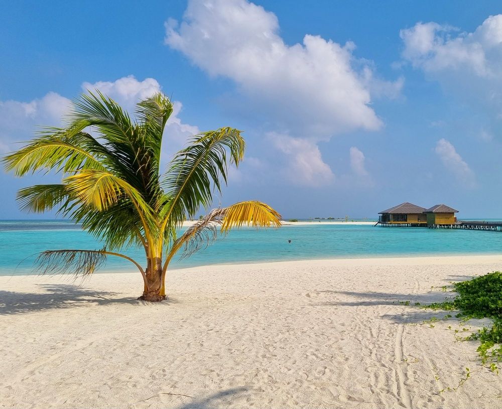 Photograph by Нина Кулинцева