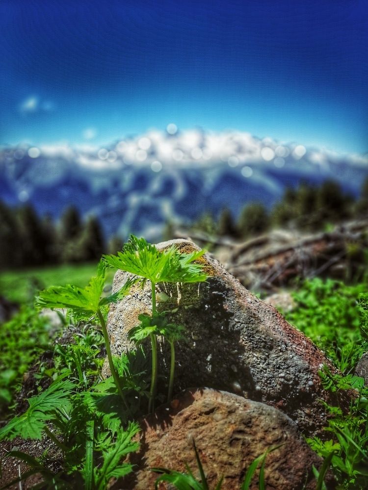 Photograph by Гладнева Ирина