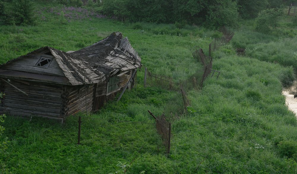 Фотография автора Николай Лазарев