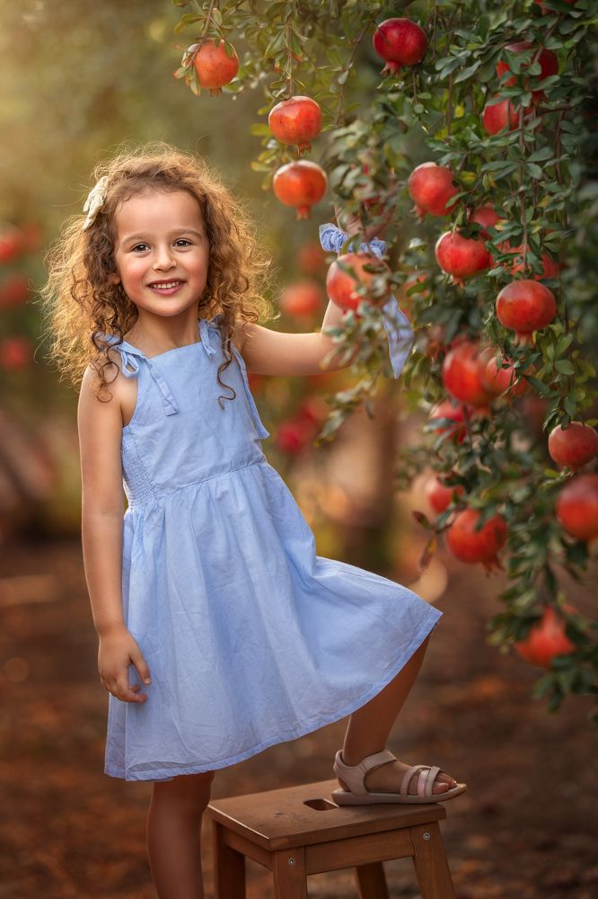 Photograph by Hamutal Avioz