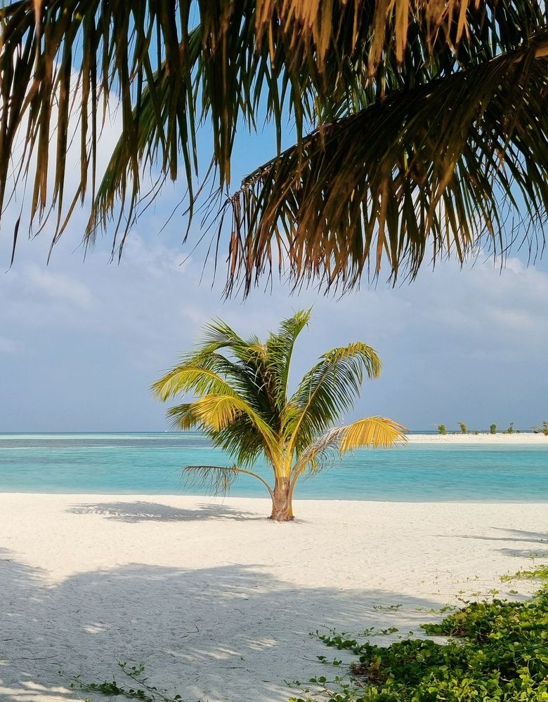 Photograph by Нина Кулинцева