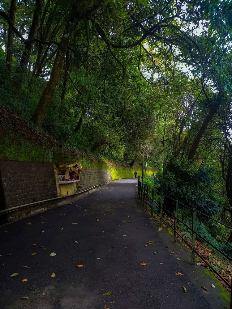 Photograph by Pemba Tshering Tamang