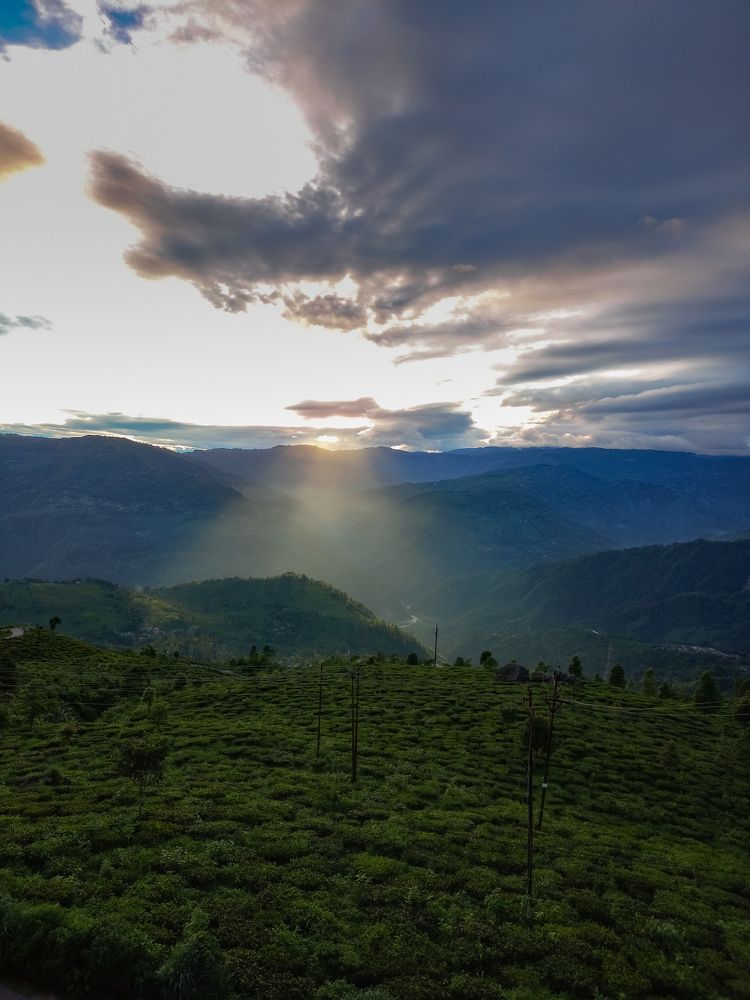 Photograph by Pemba Tshering Tamang