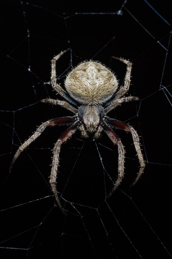 Photograph by Pemba Tshering Tamang