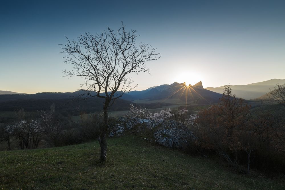 Не его весна...