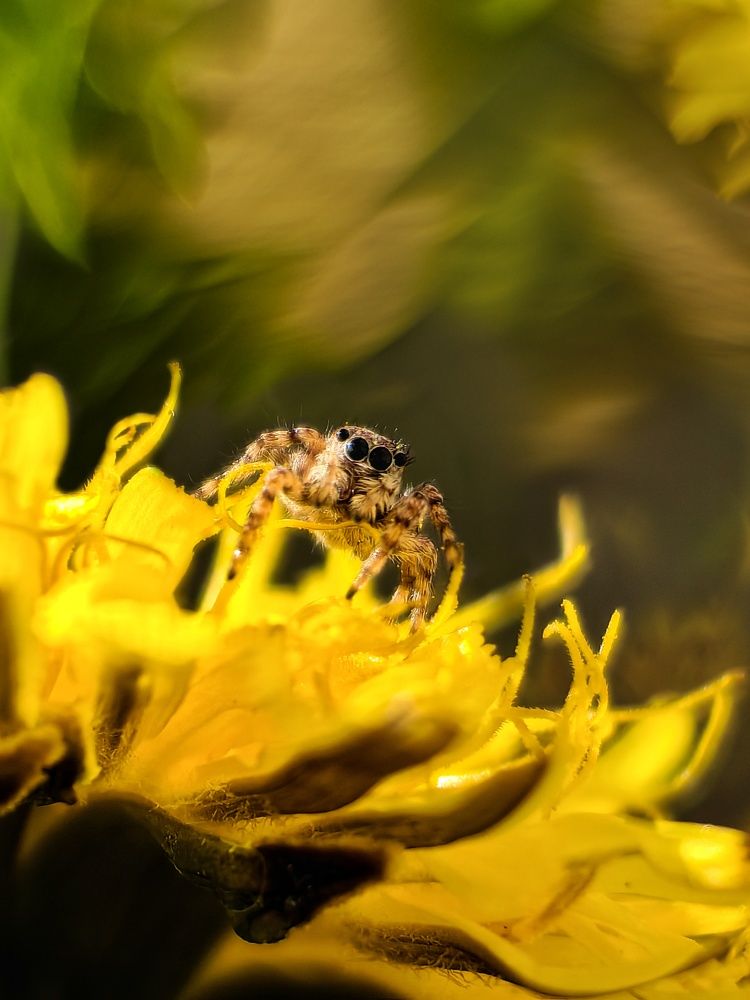 Photograph by Yuliya Karpova