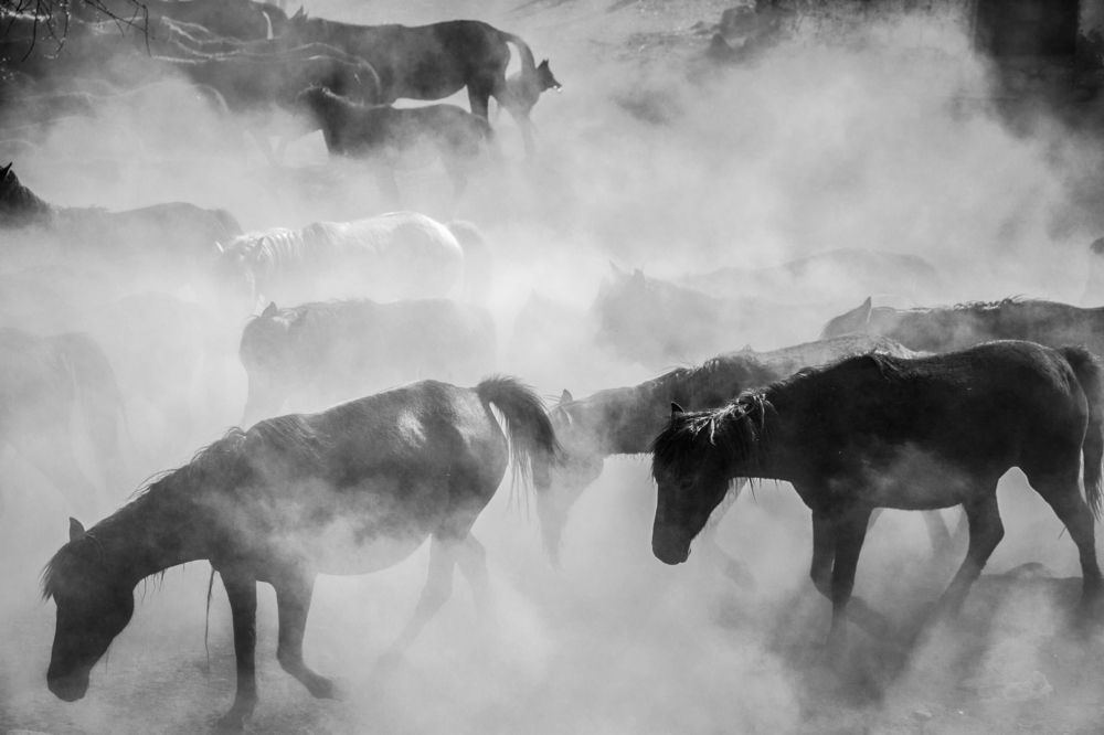 Photograph by Fatih Samet CEYLAN