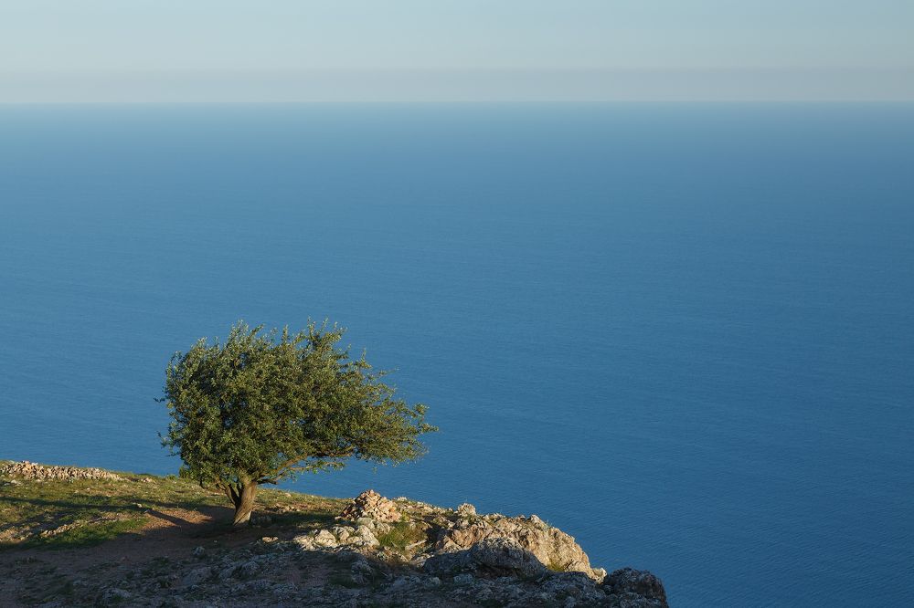 Любовь к морю.