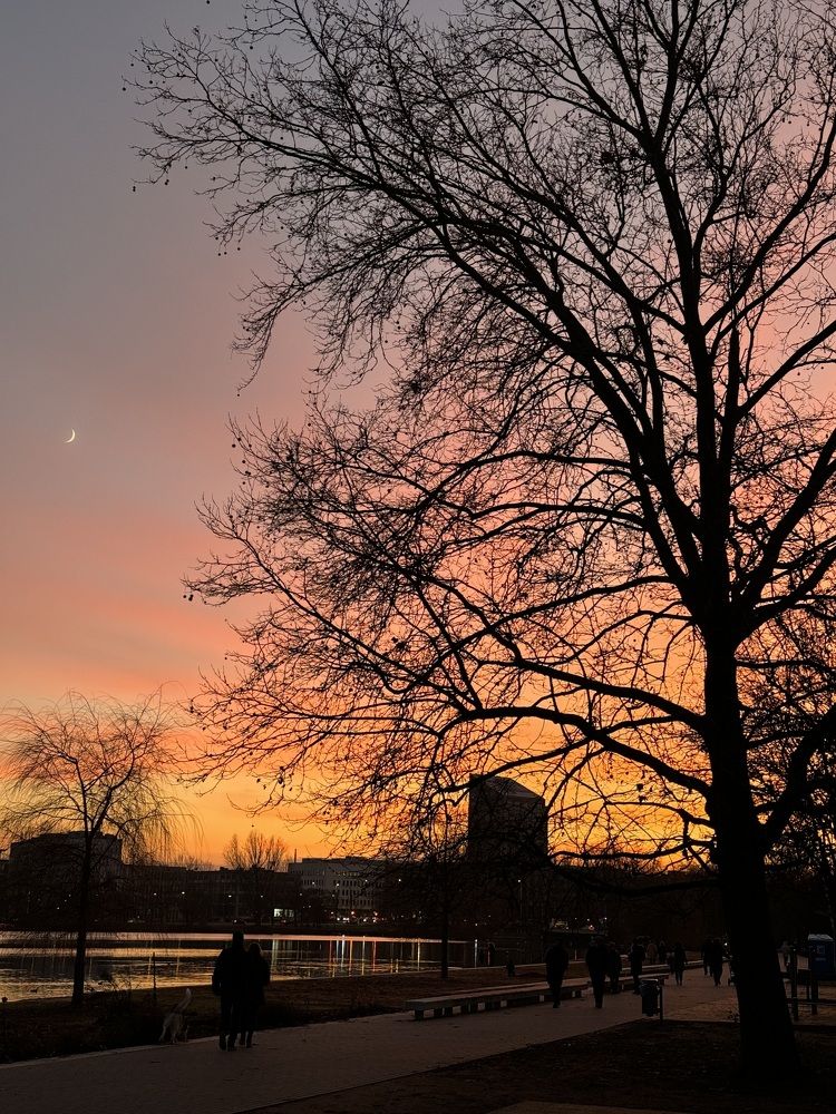 Photograph by Katerina Tighineanu