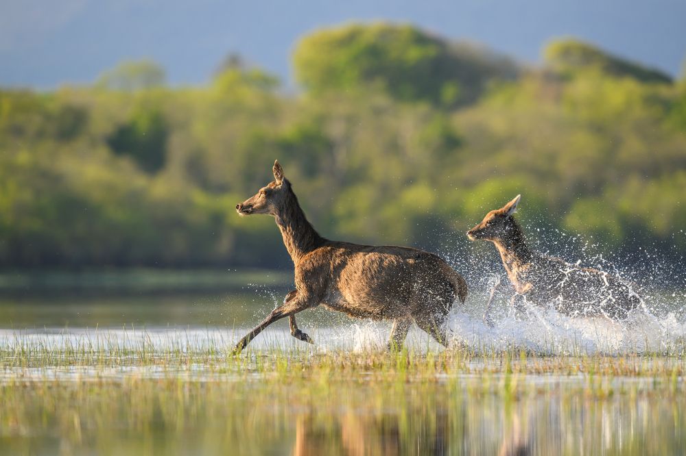 Photograph by Piotr Rak