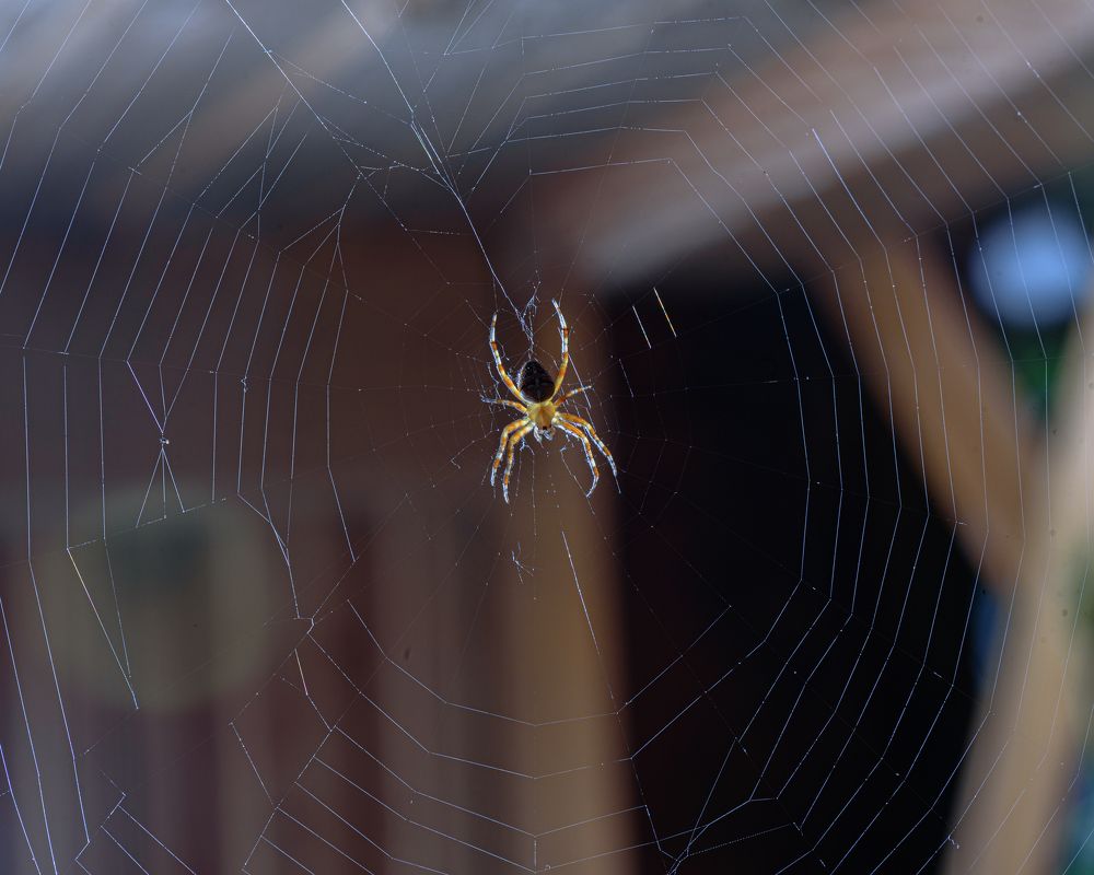 Photograph by Антон Бойков