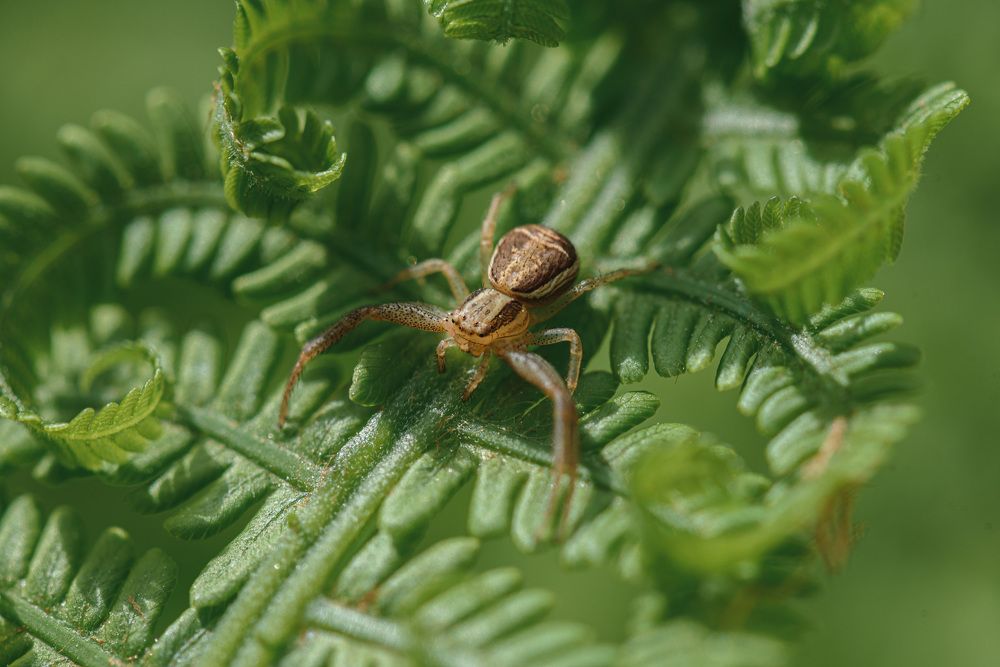 Photograph by Антон Бойков