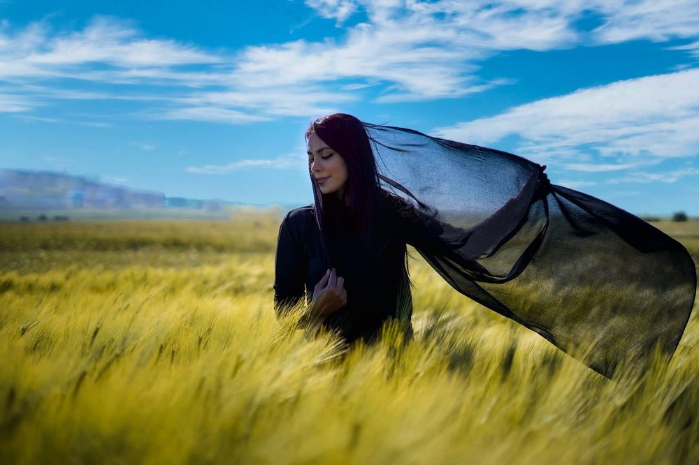 Photograph by Hamed Shahrokhi