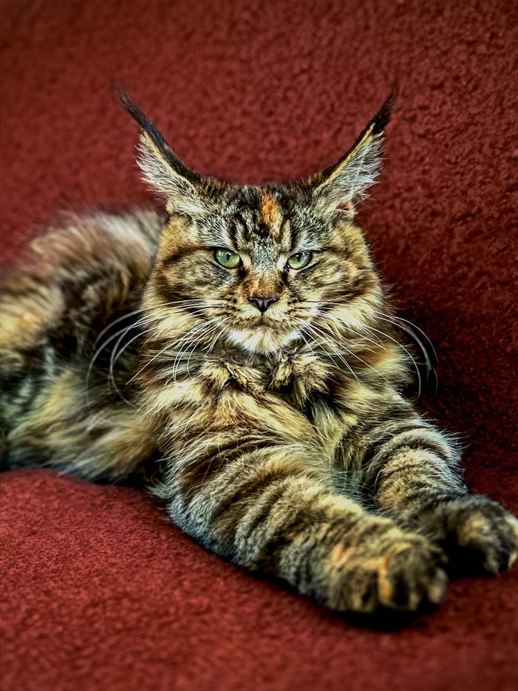 Photograph by gordon brown