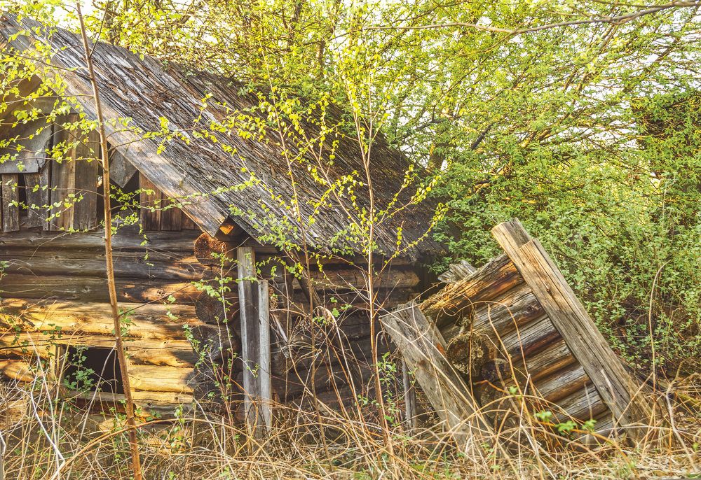 Деревня Третьяково, Костромская обл. .