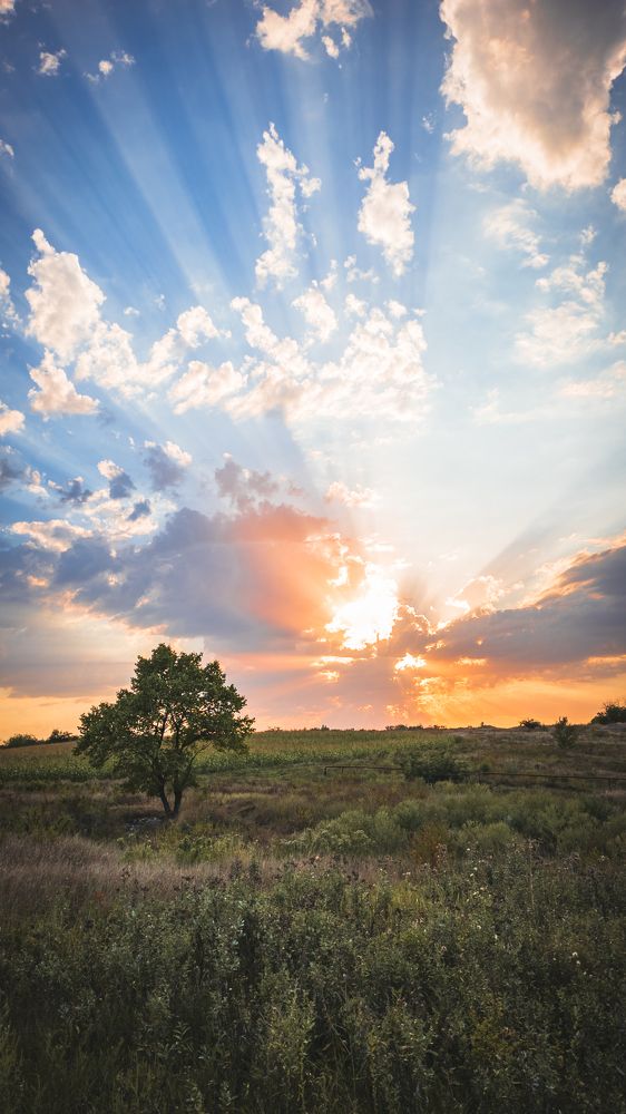 Photograph by Иван Достовалов