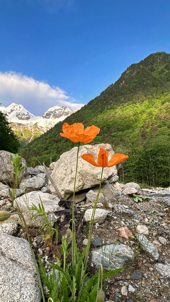 Photograph by Мария Алейникова