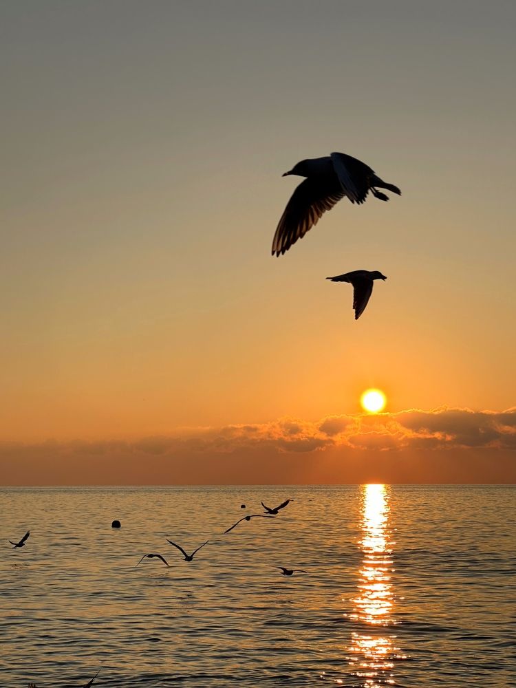 Photograph by Мария Алейникова