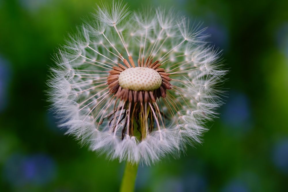 Photograph by Александр Кизим