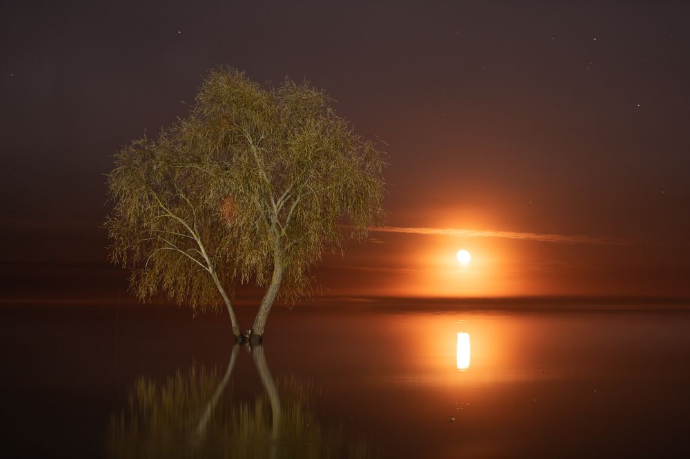 Photograph by Третьякова Анастасия