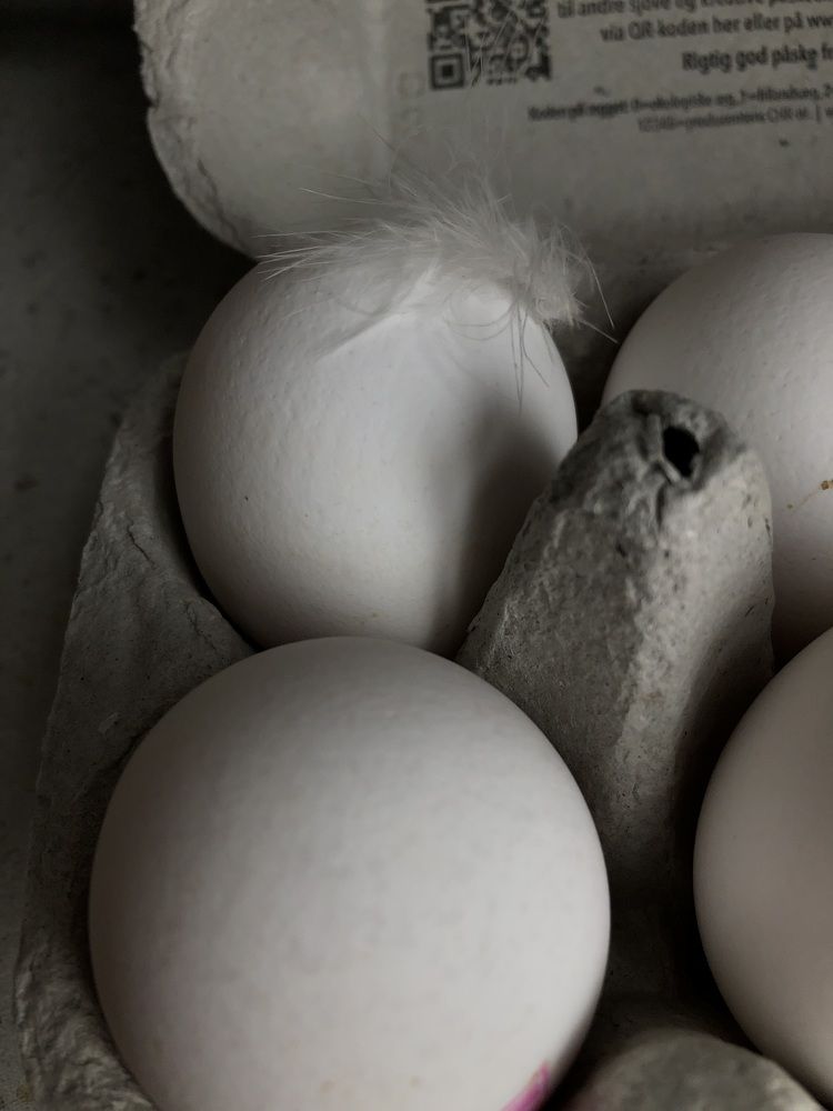 Photograph by Valentina Jegorova