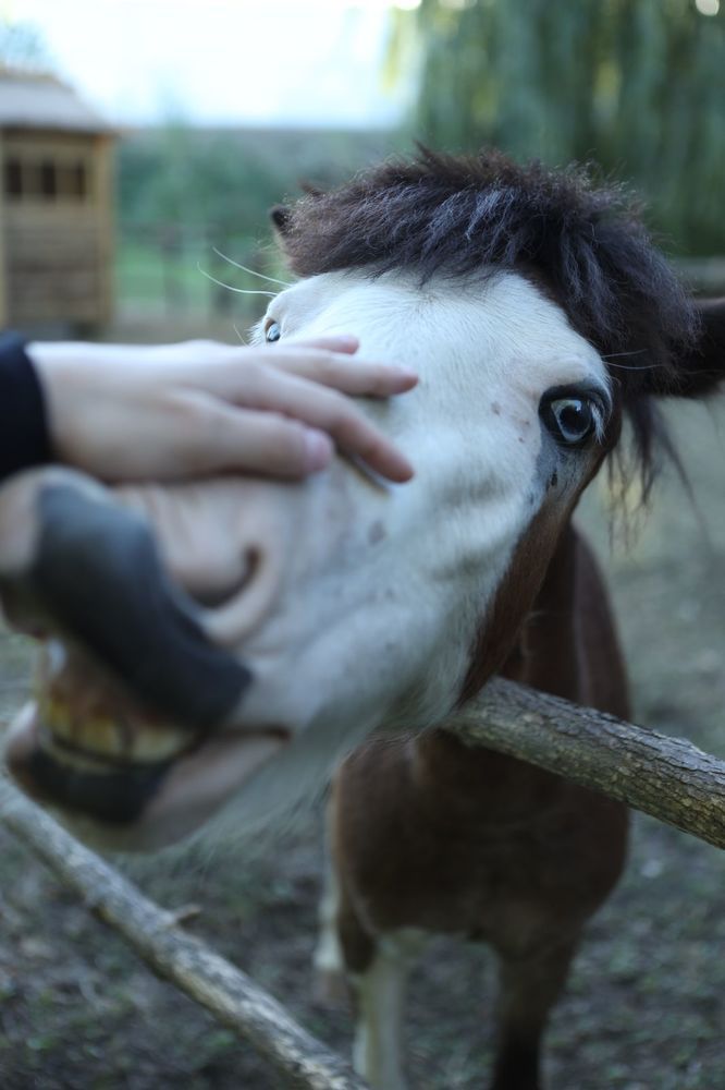 Фотография автора Николай Лысенко