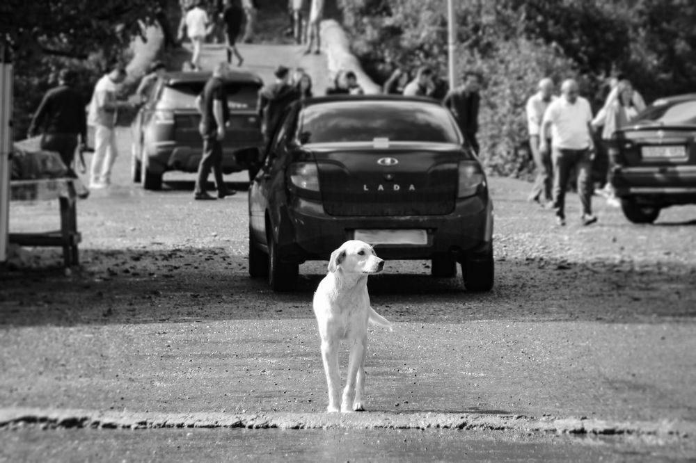 Фотография автора Emil Shahinoglu