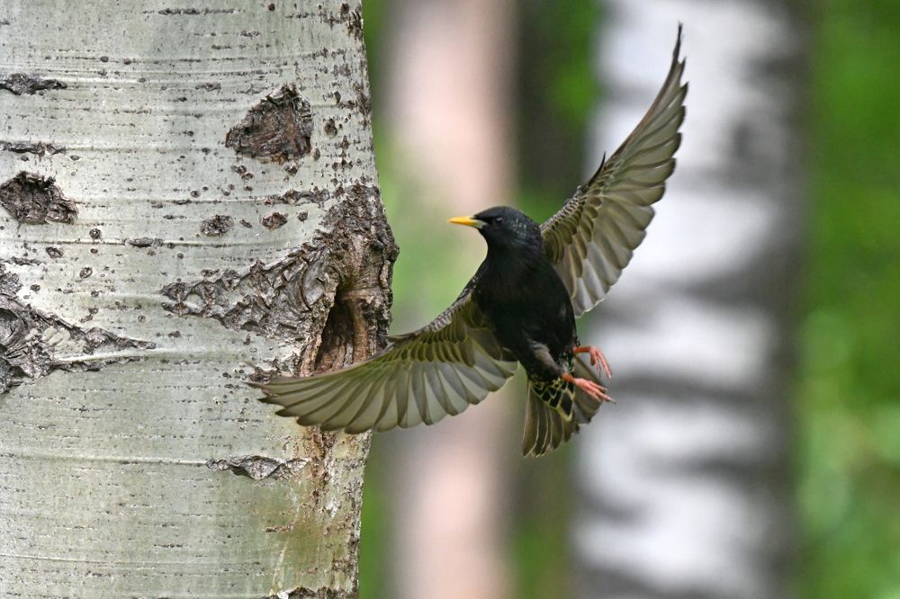 Photograph by Игорь Корнейчук