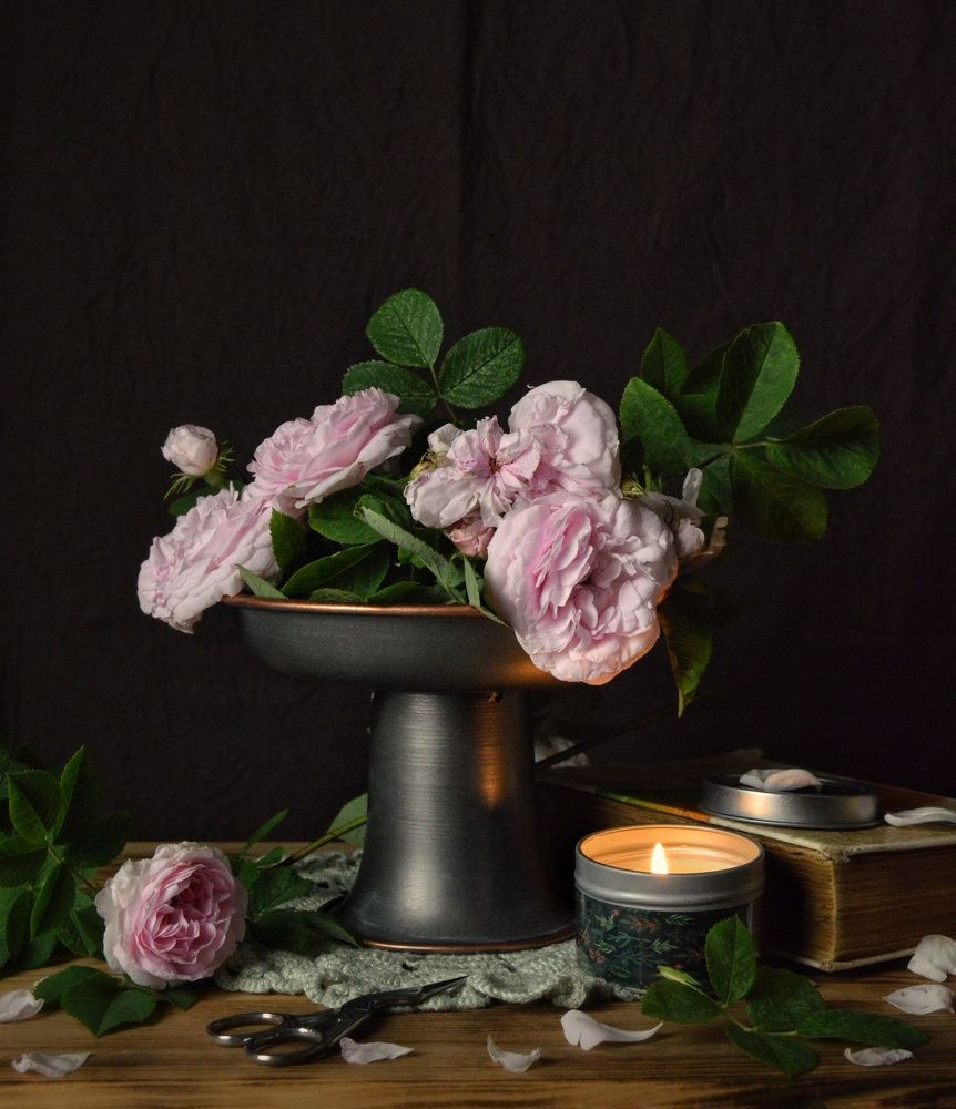 Photograph by Дина Полухина