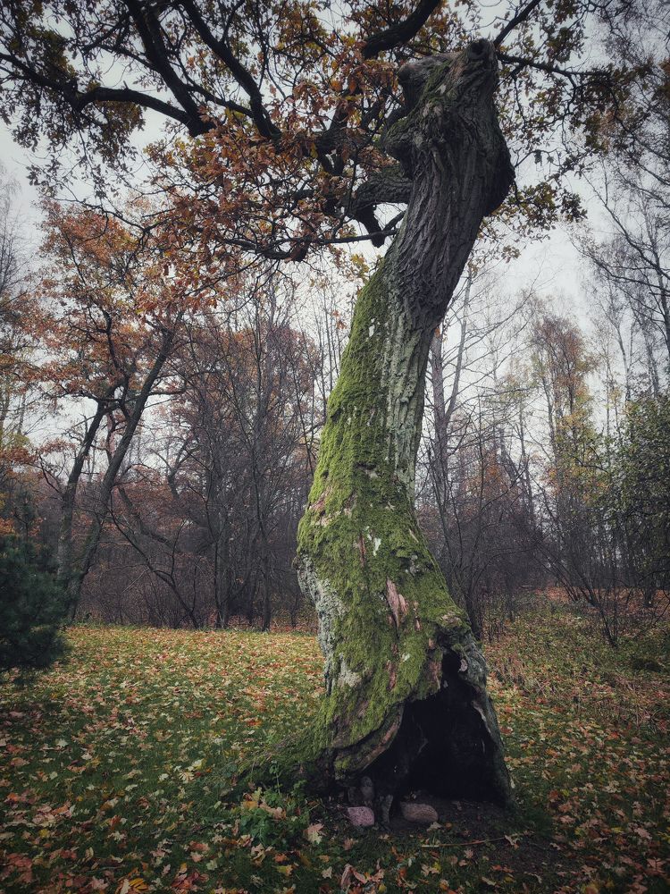 Photograph by Светлана Захарова