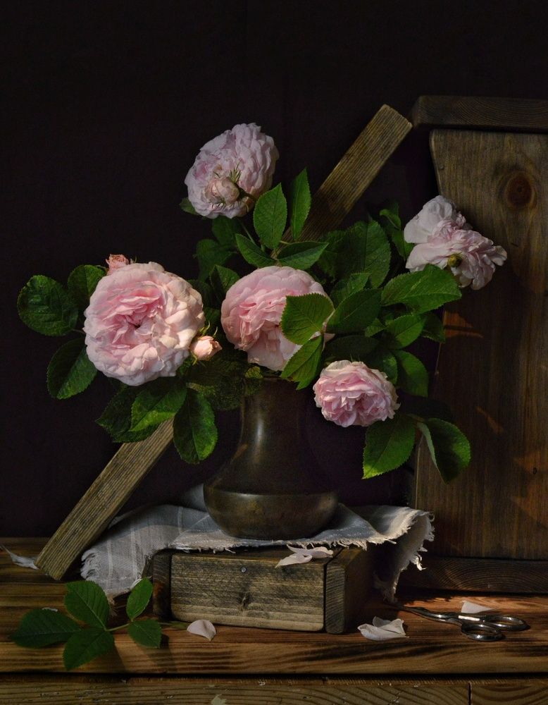 Photograph by Дина Полухина