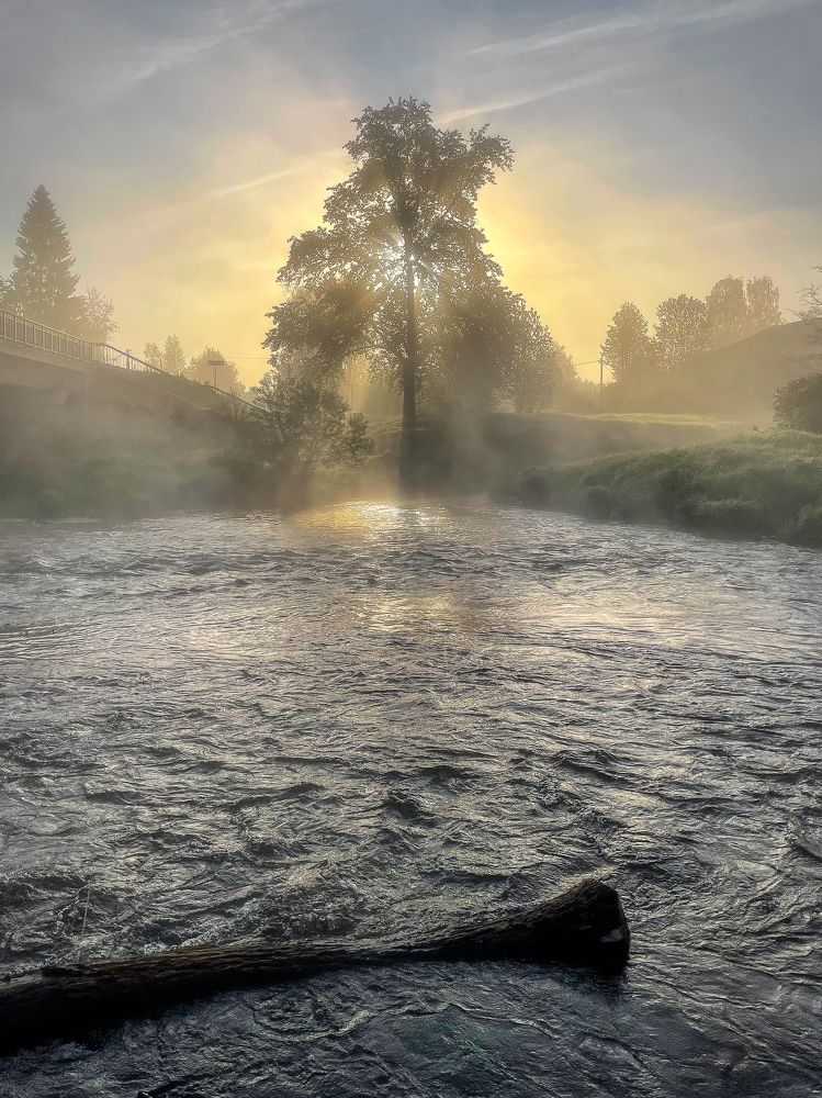 Фотография автора Alexander Pashenichev