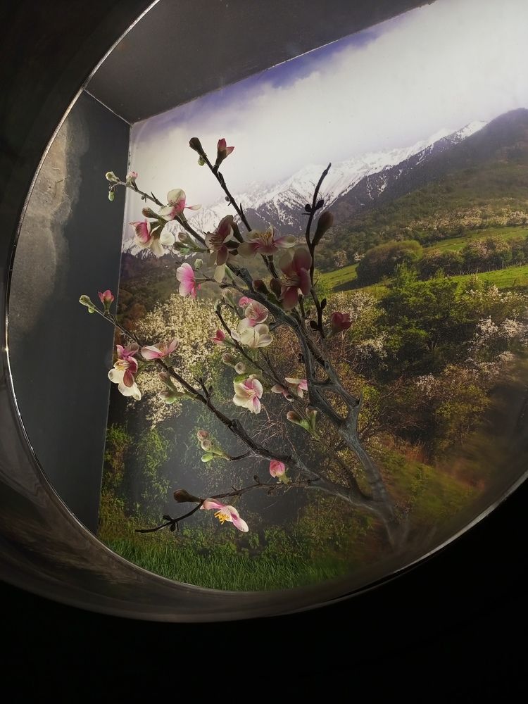 Фотография автора Eli Arzimanova