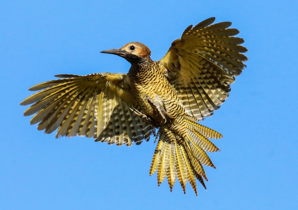 Photograph by Frank cobo blanco