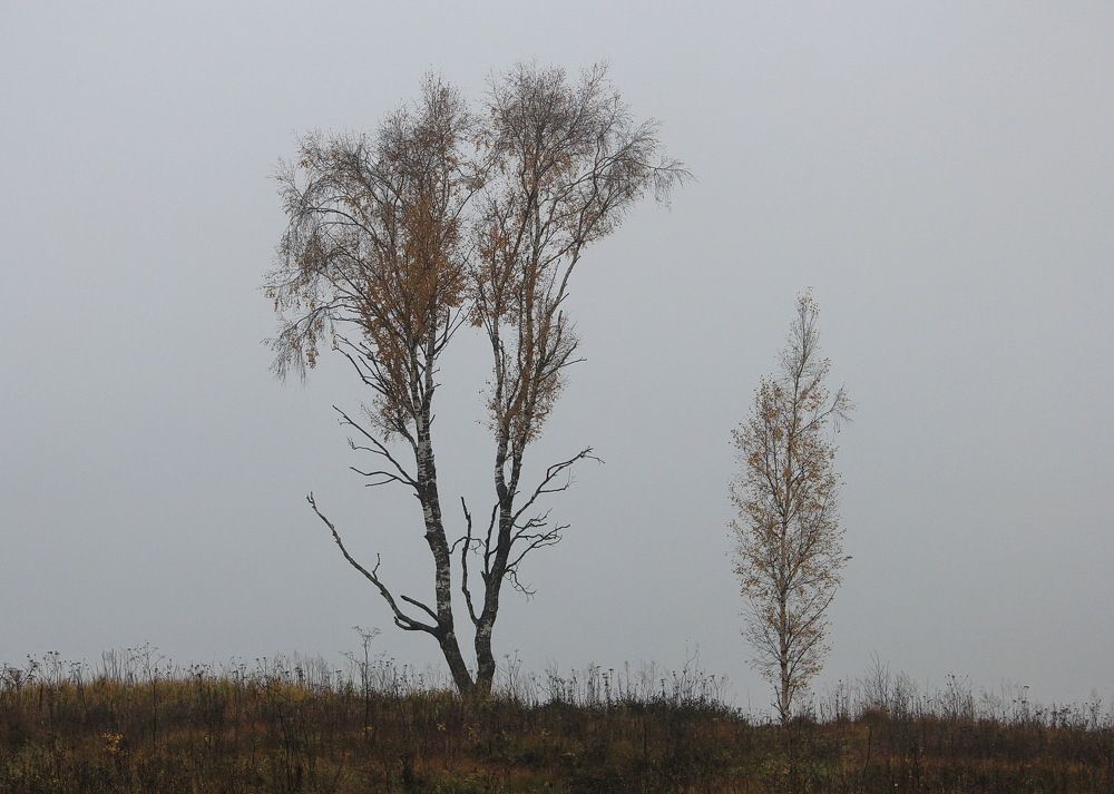 Photograph by Суетинов Евгений