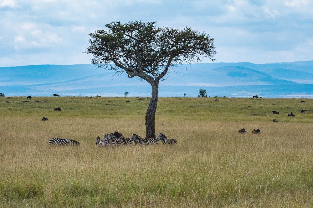 Фотография автора Sajeev Krishnan