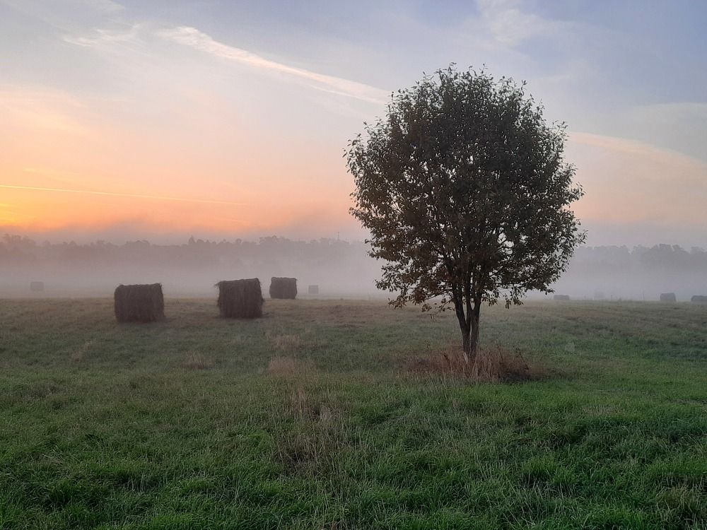 Photograph by Суетинов Евгений