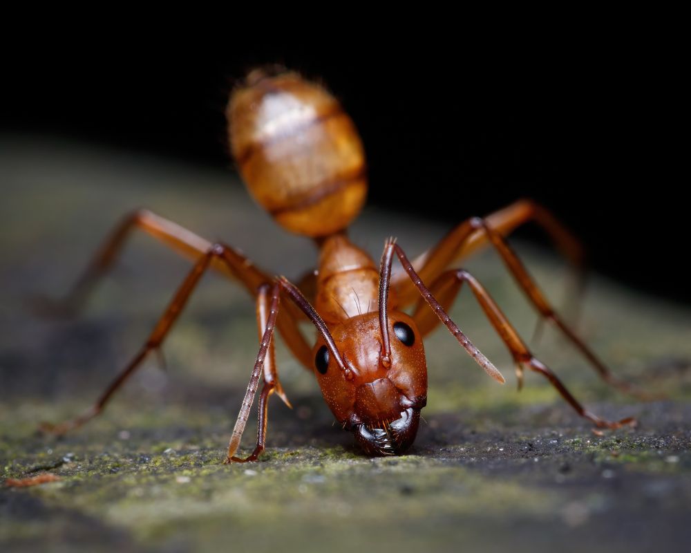 Photograph by Cassius Cardoso