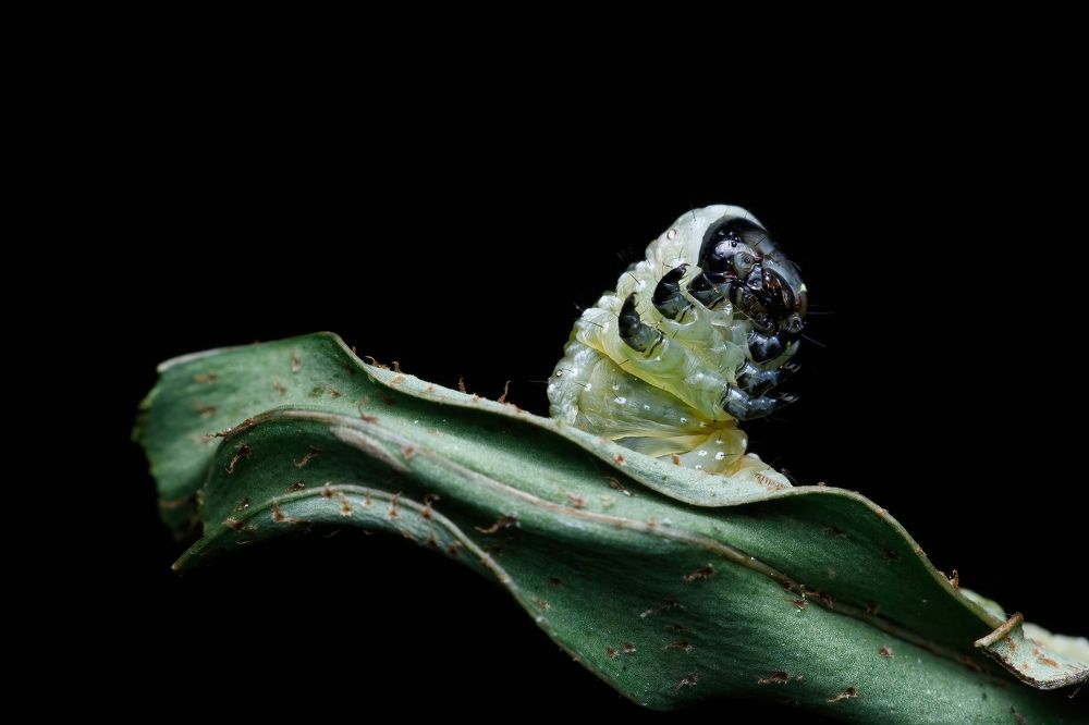 Photograph by Cassius Cardoso