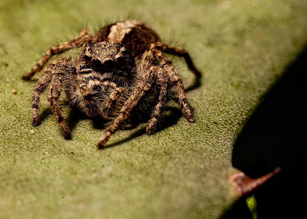 Photograph by kamran shirani