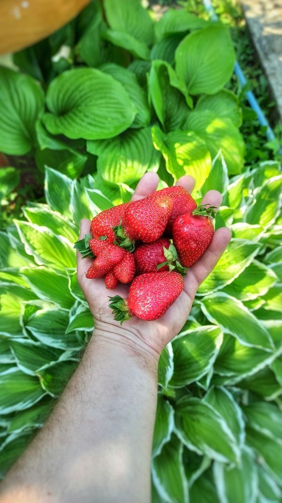 Photograph by Антон Радионов