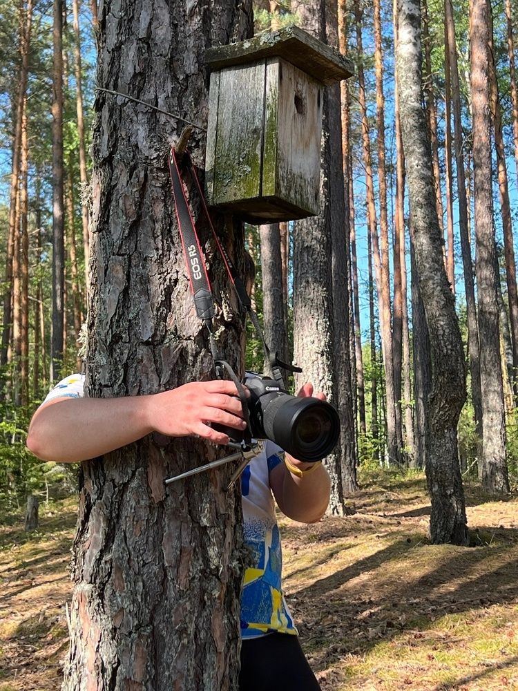 Photograph by Сергей Хабаров