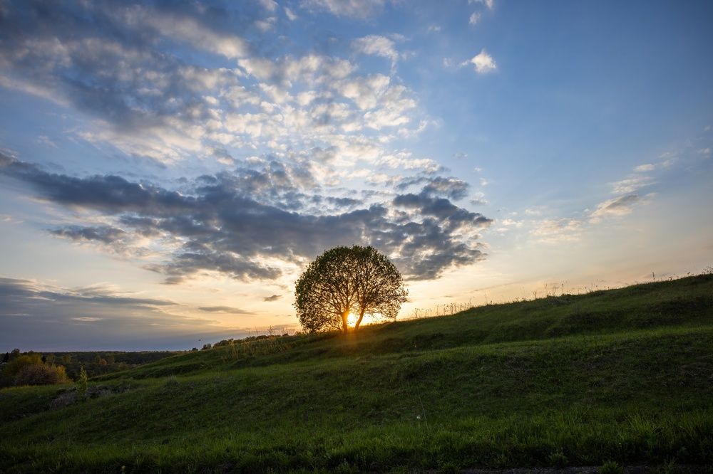 Photograph by Сергей Хабаров